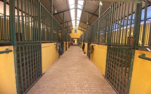Sítio/Haras São Luiz Gonzaga