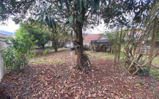 Terreno – Nova Guaxupé – Venda